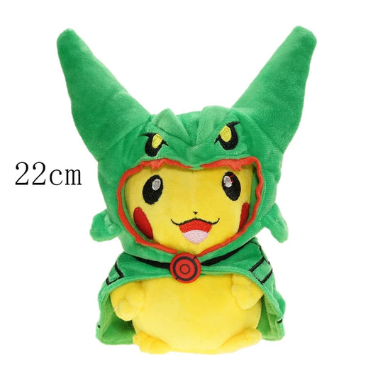 Poncho Rayquaza